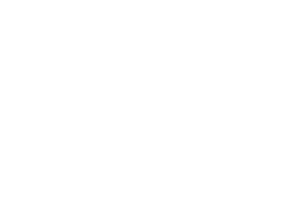fsg-logo